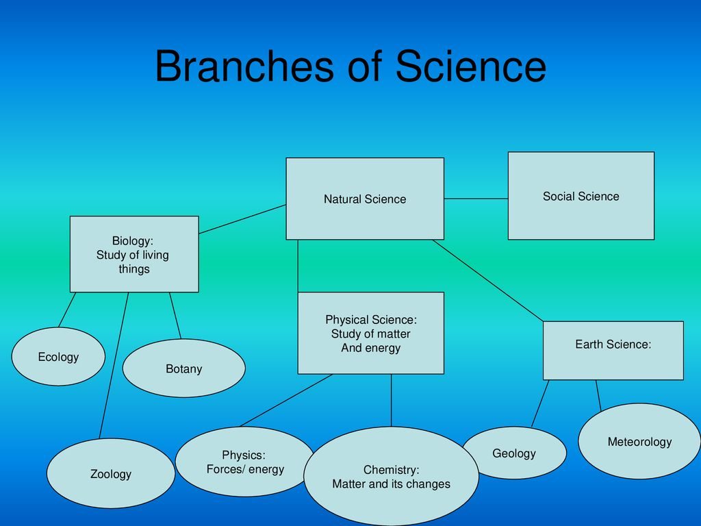 Branches Of Science Presentation By Good Science Worksheets Tpt - Gambaran